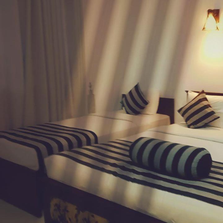 Shadow Inn Ella Chambre photo